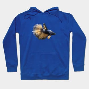 Bumblebee Betta Fish Hoodie